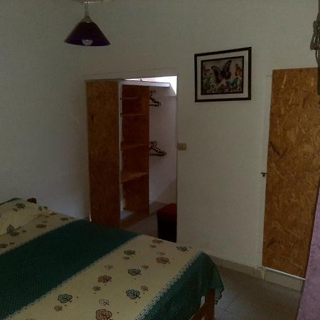 Hotel Backpacker Kitara House à Tarapoto Extérieur photo